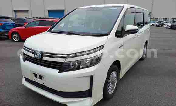 Buy Used Toyota Voxy White Car in Maseru in Maseru