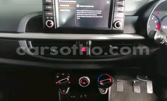اشتري مستعمل Kia Picanto Other سيارة في Maseru في Maseru اشتري مستعمل Kia Picanto Other سيارة في Maseru في Maseru