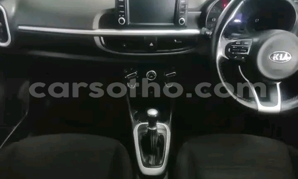 اشتري مستعمل Kia Picanto Other سيارة في Maseru في Maseru اشتري مستعمل Kia Picanto Other سيارة في Maseru في Maseru