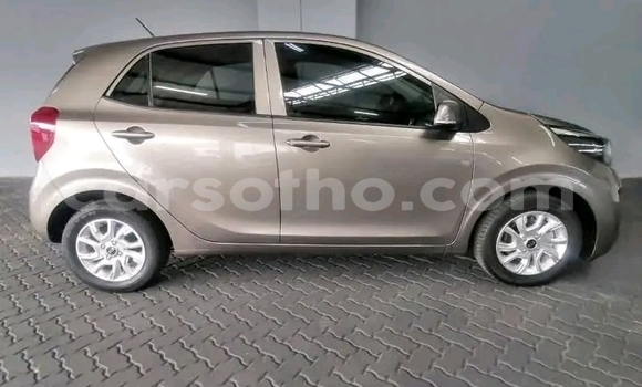 اشتري مستعمل Kia Picanto Other سيارة في Maseru في Maseru اشتري مستعمل Kia Picanto Other سيارة في Maseru في Maseru