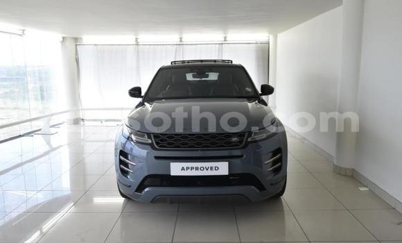 Buy Used Range Rover Evoque Blue Car in Maseru in Maseru