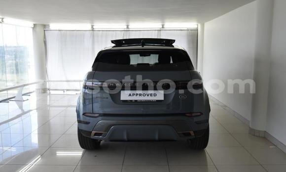اشتري مستعمل Range Rover Evoque Blue سيارة في Maseru في Maseru اشتري مستعمل Range Rover Evoque Blue سيارة في Maseru في Maseru