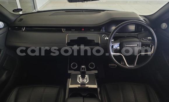 اشتري مستعمل Range Rover Evoque Blue سيارة في Maseru في Maseru اشتري مستعمل Range Rover Evoque Blue سيارة في Maseru في Maseru