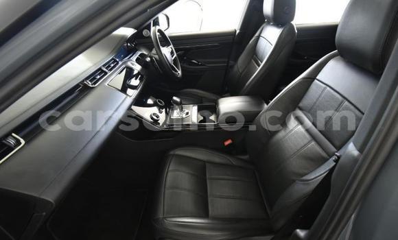 اشتري مستعمل Range Rover Evoque Blue سيارة في Maseru في Maseru اشتري مستعمل Range Rover Evoque Blue سيارة في Maseru في Maseru