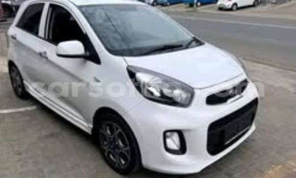 اشتري مستعمل Kia Picanto White سيارة في Maseru في Maseru اشتري مستعمل Kia Picanto White سيارة في Maseru في Maseru