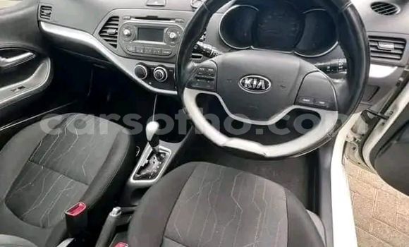 اشتري مستعمل Kia Picanto White سيارة في Maseru في Maseru اشتري مستعمل Kia Picanto White سيارة في Maseru في Maseru