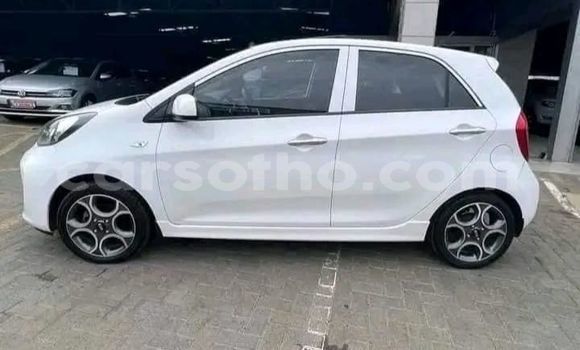 اشتري مستعمل Kia Picanto White سيارة في Maseru في Maseru اشتري مستعمل Kia Picanto White سيارة في Maseru في Maseru
