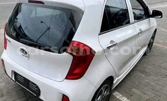 اشتري مستعمل Kia Picanto White سيارة في Maseru في Maseru اشتري مستعمل Kia Picanto White سيارة في Maseru في Maseru