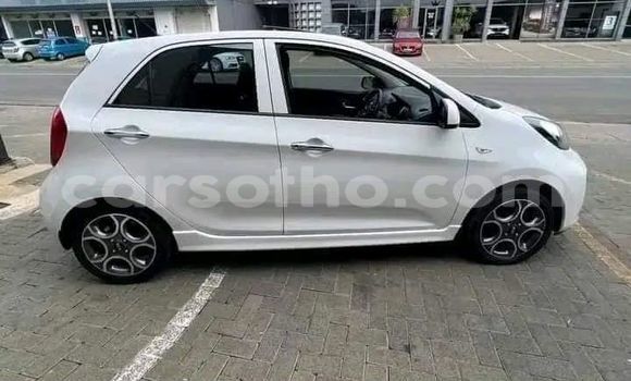 اشتري مستعمل Kia Picanto White سيارة في Maseru في Maseru اشتري مستعمل Kia Picanto White سيارة في Maseru في Maseru