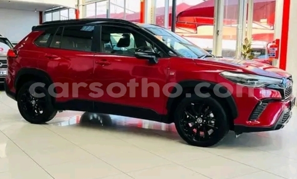 Acheter Occasion Voiture Toyota Corolla Cross Rouge à Maseru, Maseru Acheter Occasion Voiture Toyota Corolla Cross Rouge à Maseru, Maseru