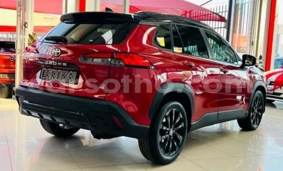 Acheter Occasion Voiture Toyota Corolla Cross Rouge à Maseru, Maseru Acheter Occasion Voiture Toyota Corolla Cross Rouge à Maseru, Maseru