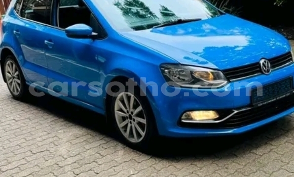 Buy Used Volkswagen Polo Blue Car in Maseru in Maseru Buy Used Volkswagen Polo Blue Car in Maseru in Maseru