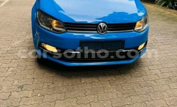Buy Used Volkswagen Polo Blue Car in Maseru in Maseru Buy Used Volkswagen Polo Blue Car in Maseru in Maseru
