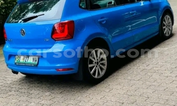 Buy Used Volkswagen Polo Blue Car in Maseru in Maseru Buy Used Volkswagen Polo Blue Car in Maseru in Maseru