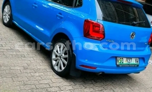 Buy Used Volkswagen Polo Blue Car in Maseru in Maseru Buy Used Volkswagen Polo Blue Car in Maseru in Maseru