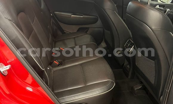 اشتري مستعمل Kia Picanto Red سيارة في Maseru في Maseru اشتري مستعمل Kia Picanto Red سيارة في Maseru في Maseru