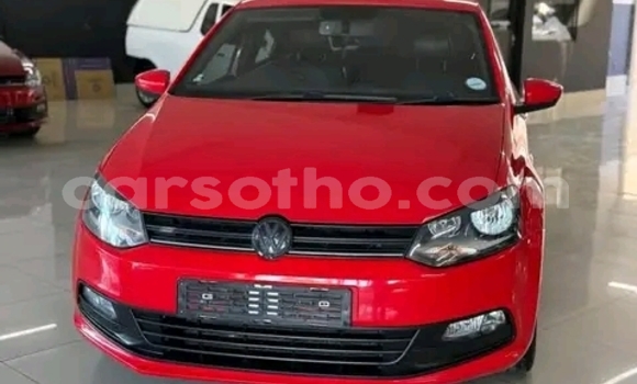 اشتري مستعمل Volkswagen Polo Red سيارة في Maseru في Maseru اشتري مستعمل Volkswagen Polo Red سيارة في Maseru في Maseru