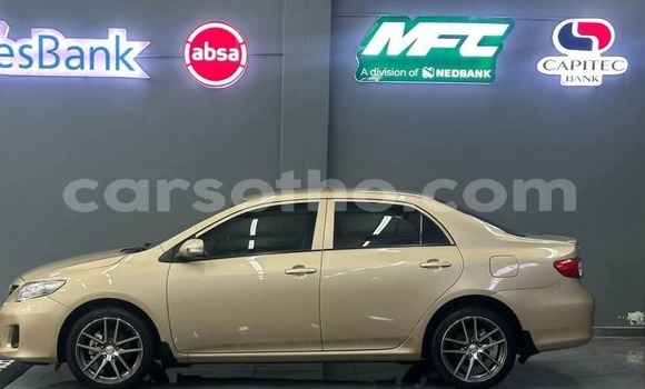 Acheter Occasion Voiture Toyota Corolla Autre à Hlotse, Leribe Acheter Occasion Voiture Toyota Corolla Autre à Hlotse, Leribe