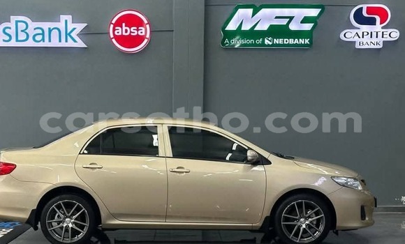 Acheter Occasion Voiture Toyota Corolla Autre à Hlotse, Leribe Acheter Occasion Voiture Toyota Corolla Autre à Hlotse, Leribe