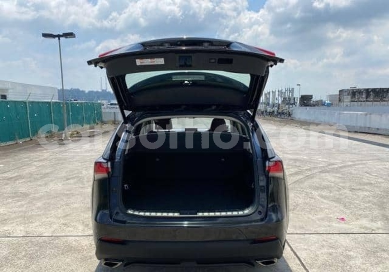 Big with watermark lexus rc leribe maputsoe 29546