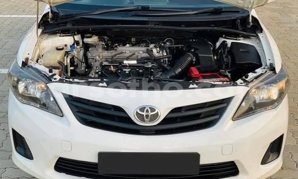 Sayi Na hannu Toyota Corolla White Mota in Maseru a Maseru Sayi Na hannu Toyota Corolla White Mota in Maseru a Maseru