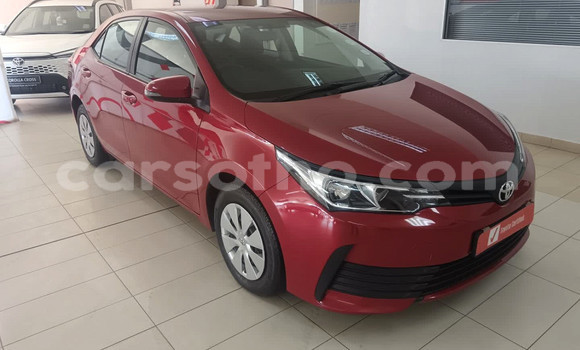 Buy Used Toyota Corolla Red Car in Maseru in Maseru Buy Used Toyota Corolla Red Car in Maseru in Maseru