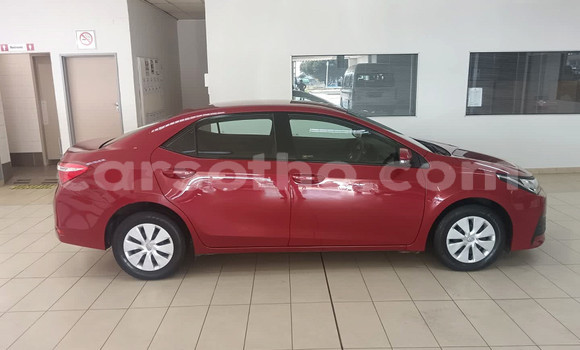 اشتري مستعمل Toyota Corolla Red سيارة في Maseru في Maseru اشتري مستعمل Toyota Corolla Red سيارة في Maseru في Maseru