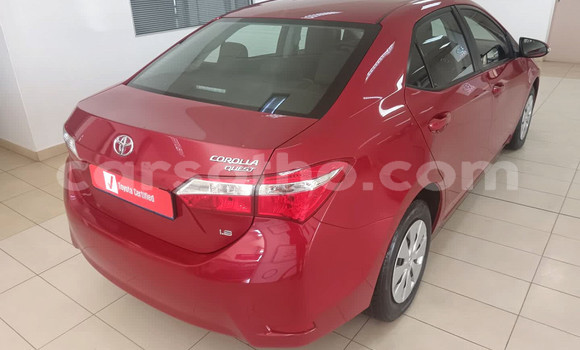 اشتري مستعمل Toyota Corolla Red سيارة في Maseru في Maseru اشتري مستعمل Toyota Corolla Red سيارة في Maseru في Maseru