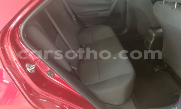 اشتري مستعمل Toyota Corolla Red سيارة في Maseru في Maseru اشتري مستعمل Toyota Corolla Red سيارة في Maseru في Maseru