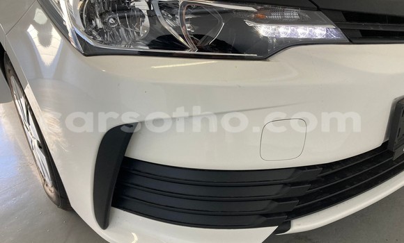 اشتري مستعمل Toyota Corolla White سيارة في Maseru في Maseru اشتري مستعمل Toyota Corolla White سيارة في Maseru في Maseru