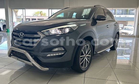 اشتري مستعمل Hyundai Tucson Blue سيارة في Maseru في Maseru اشتري مستعمل Hyundai Tucson Blue سيارة في Maseru في Maseru
