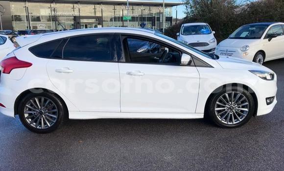 Sayi Na hannu Ford Focus White Mota in Hlotse a Leribe Sayi Na hannu Ford Focus White Mota in Hlotse a Leribe