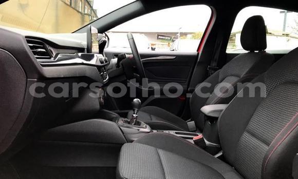 Sayi Na hannu Ford Focus Red Mota in Maputsoa a Leribe Sayi Na hannu Ford Focus Red Mota in Maputsoa a Leribe