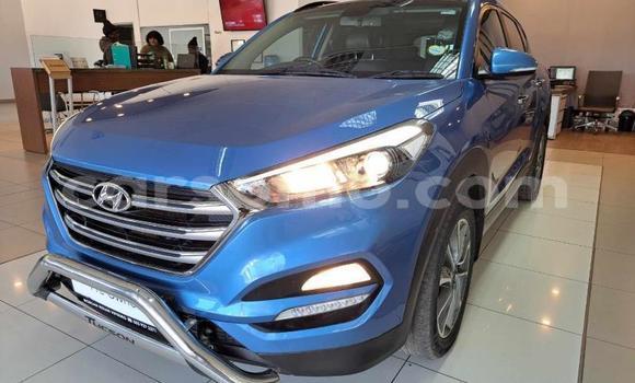 Acheter Occasion Voiture Hyundai Tucson Bleu à Maseru, Maseru