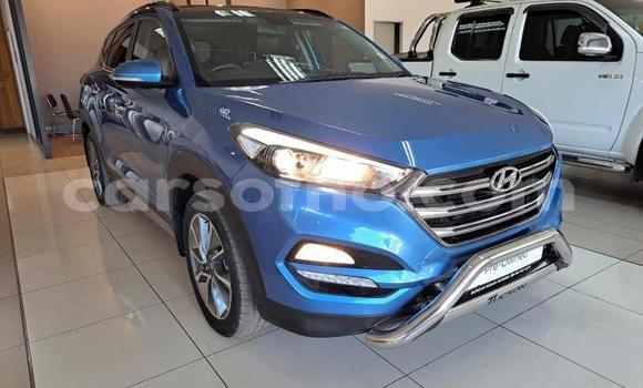 Sayi Na hannu Hyundai Tucson Blue Mota in Maseru a Maseru Sayi Na hannu Hyundai Tucson Blue Mota in Maseru a Maseru
