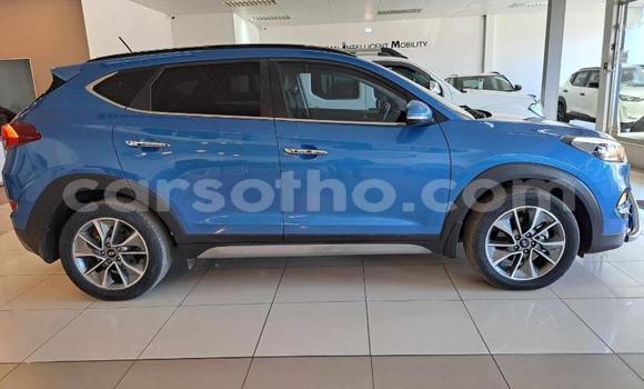 Sayi Na hannu Hyundai Tucson Blue Mota in Maseru a Maseru Sayi Na hannu Hyundai Tucson Blue Mota in Maseru a Maseru