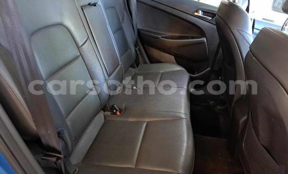Sayi Na hannu Hyundai Tucson Blue Mota in Maseru a Maseru Sayi Na hannu Hyundai Tucson Blue Mota in Maseru a Maseru