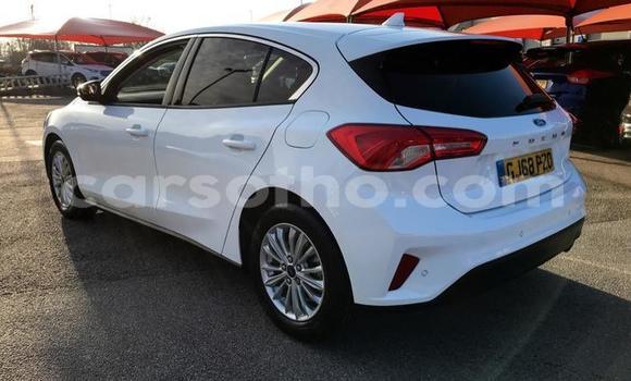 Buy Used Ford Focus White Car in Maputsoa in Leribe Buy Used Ford Focus White Car in Maputsoa in Leribe