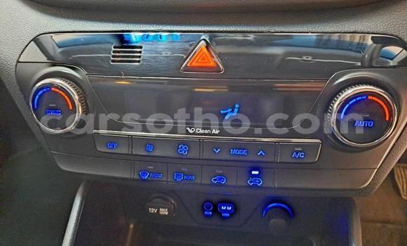 Sayi Na hannu Hyundai Tucson Blue Mota in Maseru a Maseru Sayi Na hannu Hyundai Tucson Blue Mota in Maseru a Maseru