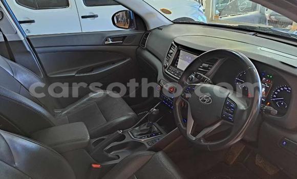 Sayi Na hannu Hyundai Tucson Blue Mota in Maseru a Maseru Sayi Na hannu Hyundai Tucson Blue Mota in Maseru a Maseru