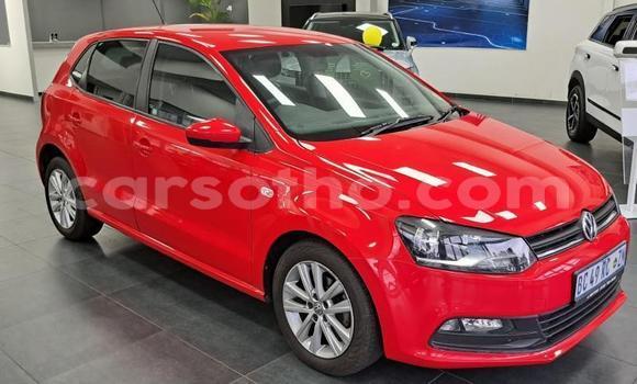 Buy Used Volkswagen Polo Red Car in Maseru in Maseru Buy Used Volkswagen Polo Red Car in Maseru in Maseru