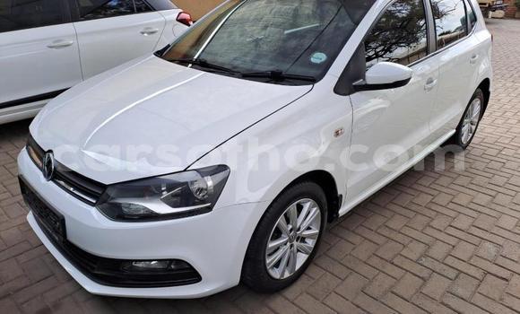 Acheter Occasion Voiture Volkswagen Polo Blanc à Maseru, Maseru