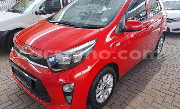 اشتري مستعمل Kia Rio Red سيارة في Maseru في Maseru