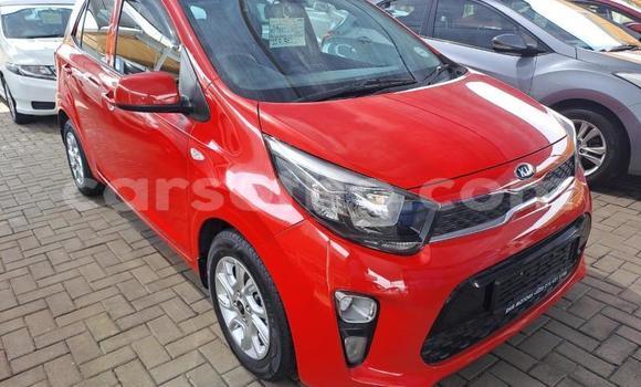 Sayi Na hannu Kia Rio Red Mota in Maseru a Maseru Sayi Na hannu Kia Rio Red Mota in Maseru a Maseru