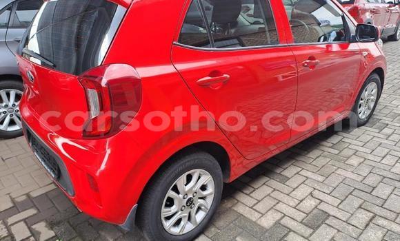 Sayi Na hannu Kia Rio Red Mota in Maseru a Maseru Sayi Na hannu Kia Rio Red Mota in Maseru a Maseru