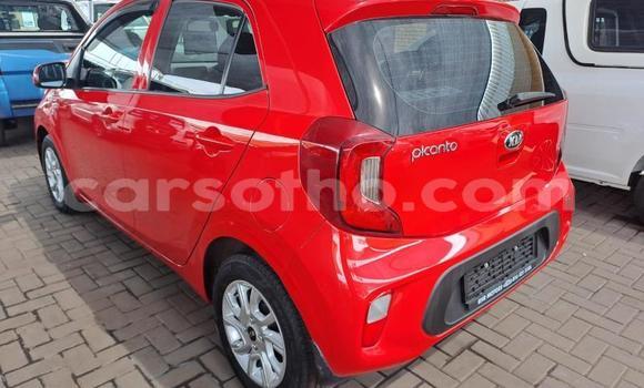 Sayi Na hannu Kia Rio Red Mota in Maseru a Maseru Sayi Na hannu Kia Rio Red Mota in Maseru a Maseru