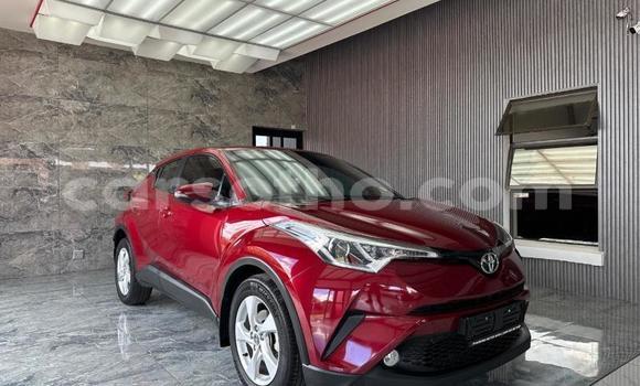 Buy Used Toyota C-HR Red Car in Maseru in Maseru Buy Used Toyota C-HR Red Car in Maseru in Maseru