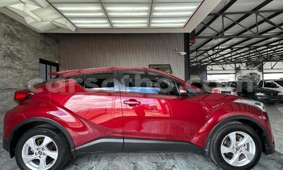 Acheter Occasion Voiture Toyota C-HR Rouge à Maseru, Maseru Acheter Occasion Voiture Toyota C-HR Rouge à Maseru, Maseru