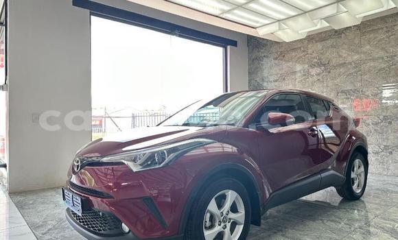 Acheter Occasion Voiture Toyota C-HR Rouge à Maseru, Maseru Acheter Occasion Voiture Toyota C-HR Rouge à Maseru, Maseru