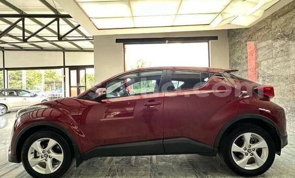 Acheter Occasion Voiture Toyota C-HR Rouge à Maseru, Maseru Acheter Occasion Voiture Toyota C-HR Rouge à Maseru, Maseru